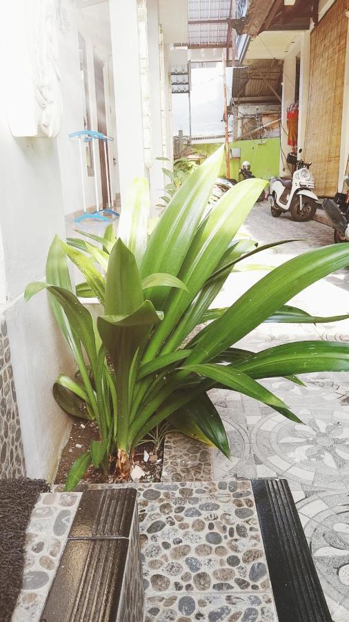 Bali Dd Homestay Seminyak Exteriér fotografie
